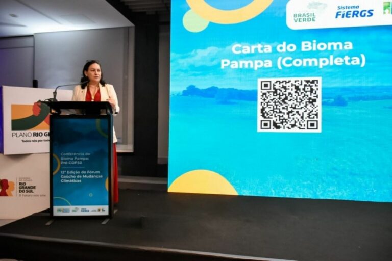 COP 30: RS apresenta minuta da Carta do Bioma Pampa