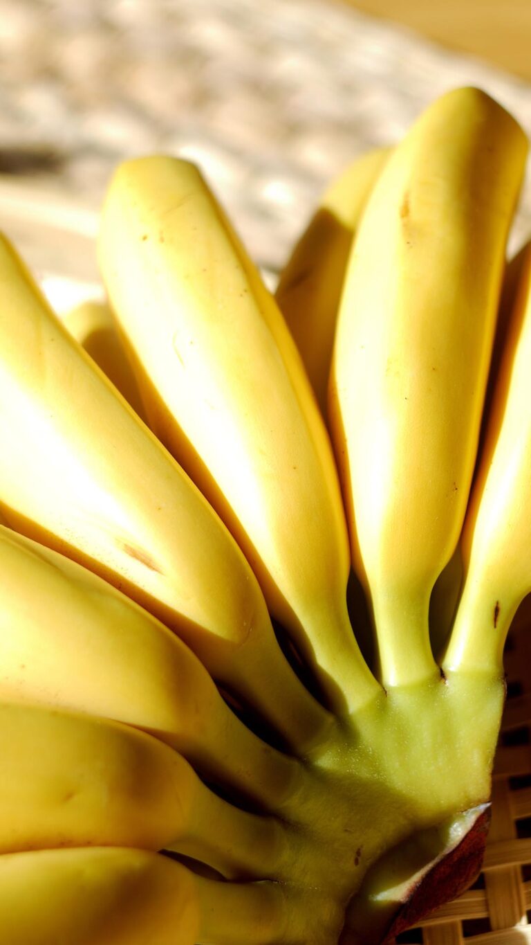 Banana: conheça os tipos e benefícios