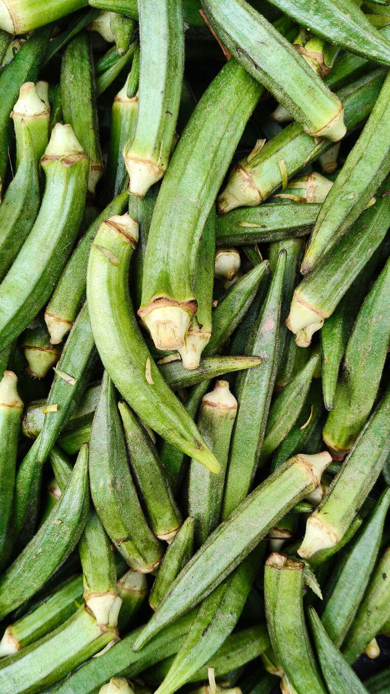 Quiabo: o cultivo fácil que pode render muito mais do que você imagina