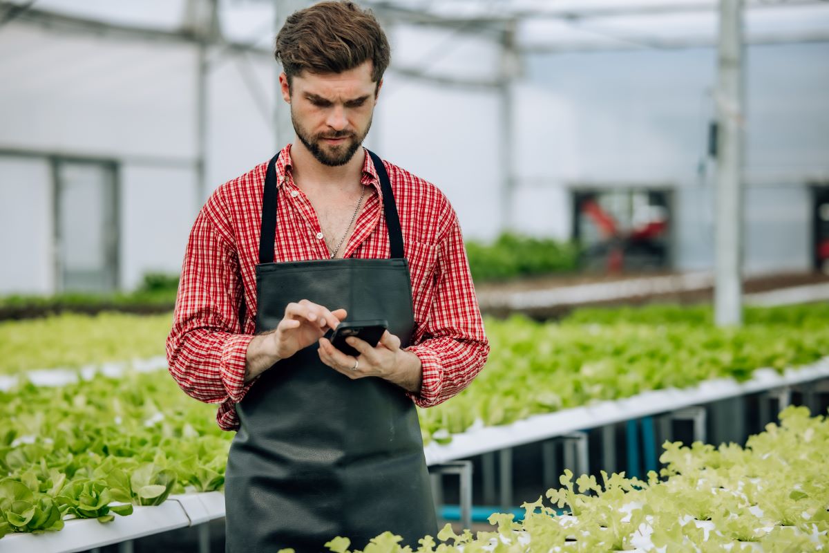 282.264 produtores renegociaram débitos envolvendo 529.706 operações. Foto: Adobe Stock
