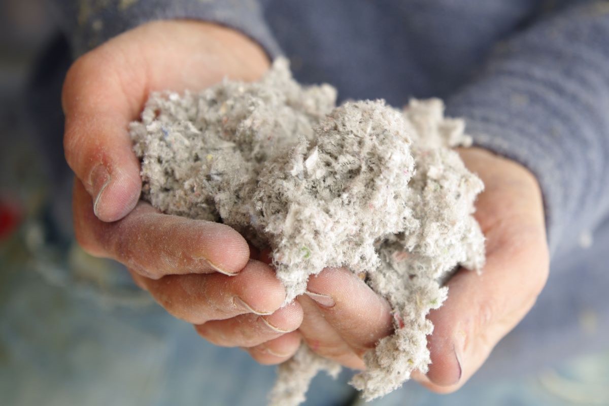 Brasil é o segundo maior produtor e o maior exportador mundial de celulose. Foto: Adobe Stock