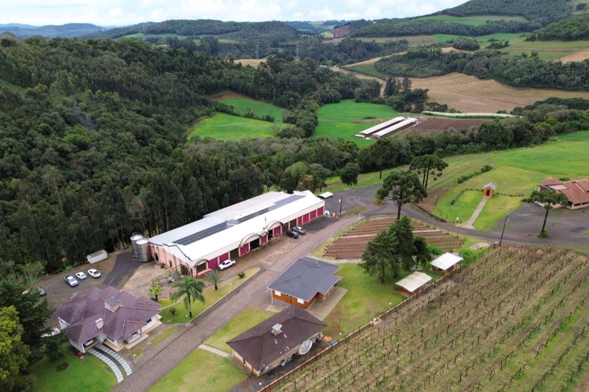 Vista aérea da vinícola com a granja ao fundo, na parte superior direita. Foto: ACCS/Divulgação