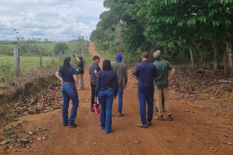 Projeto aposta em agricultura regenerativa para reduzir carbono da soja na Amazônia
