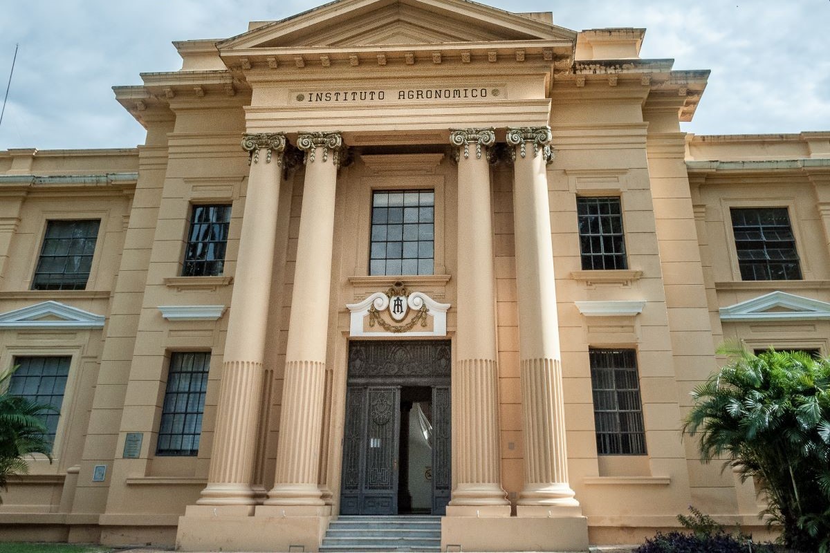 IAC ficou entre as 39 instituições escolhidas pela FAO, de um total de mais de 300 indicações. Foto: IAC/Divulgação