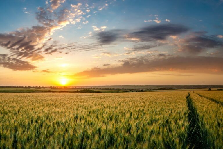 RS tem 65% de chances de La Niña nos próximos três meses