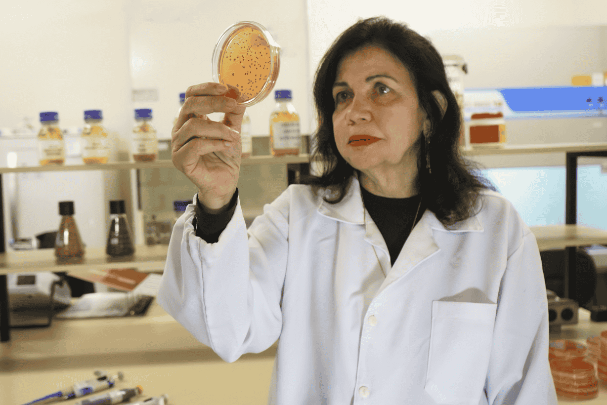 Mariângela Hungria, pesquisadora da Embrapa, é responsável pelo desenvolvimento de mais de 30 tecnologias que impulsionaram o uso de microrganismos na agricultura. Foto : Embrapa/Divulgação