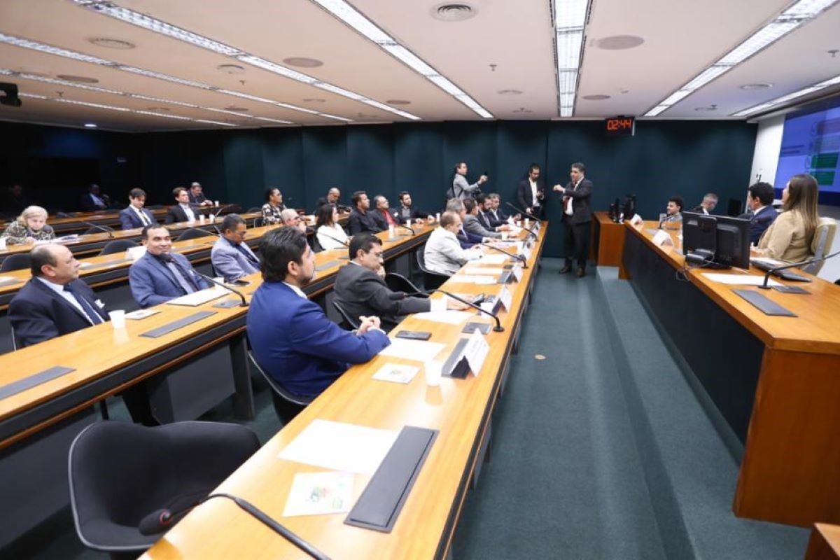 Plano foi apresentado nesta quarta-feira na Câmara dos Deputados. Foto: Vinicius Loures/Câmara dos Deputados