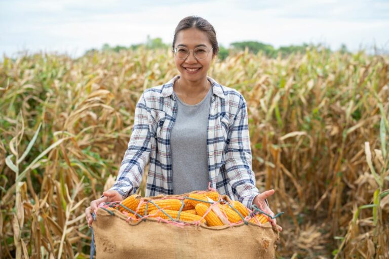 Mais de 6 milhões de mulheres movem a economia rural no Brasil