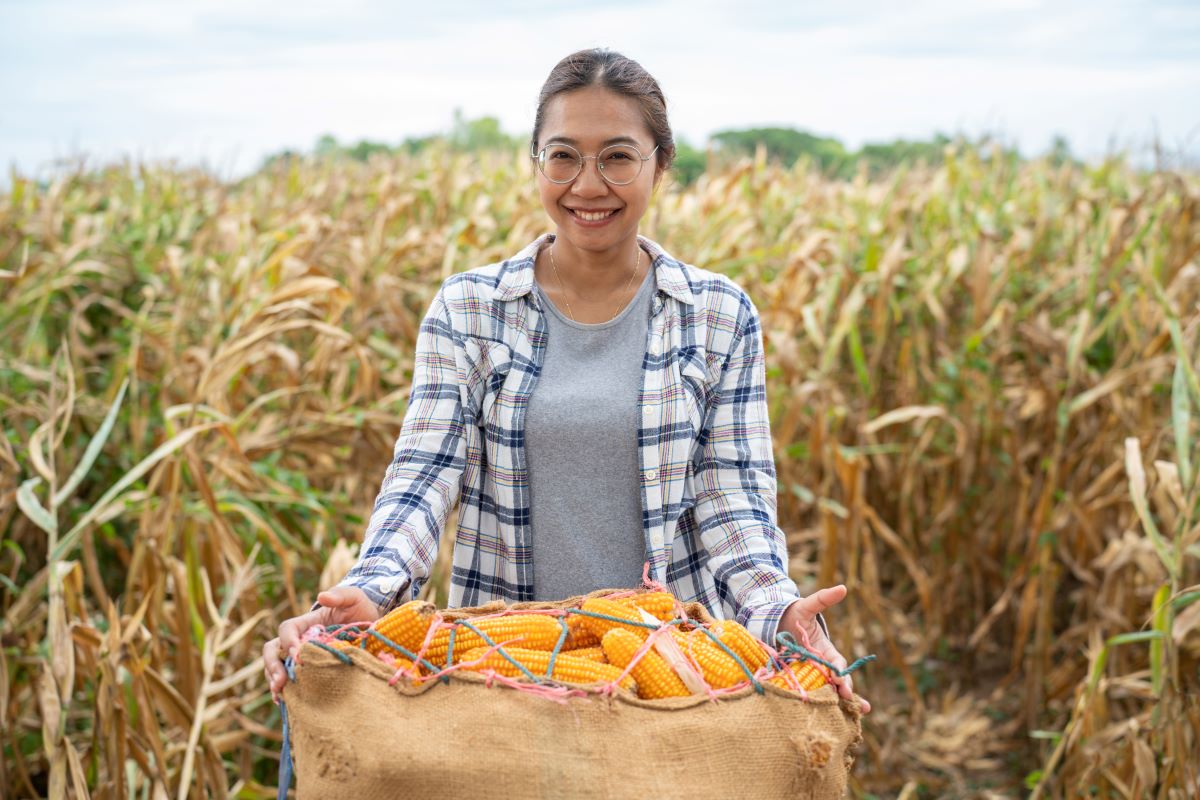 Segundo o IBGE, mulheres respondem por 42,4% da renda familiar no campo. Foto: Adobe Stock
