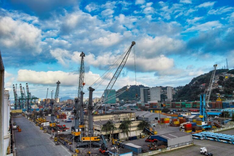 Porto de Santos tem movimentação recorde; complexo soja é destaque