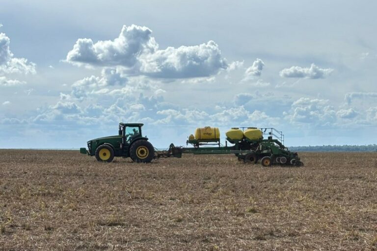 Como agregar valor à produção de áreas recuperadas? Certificação internacional pode ajudar