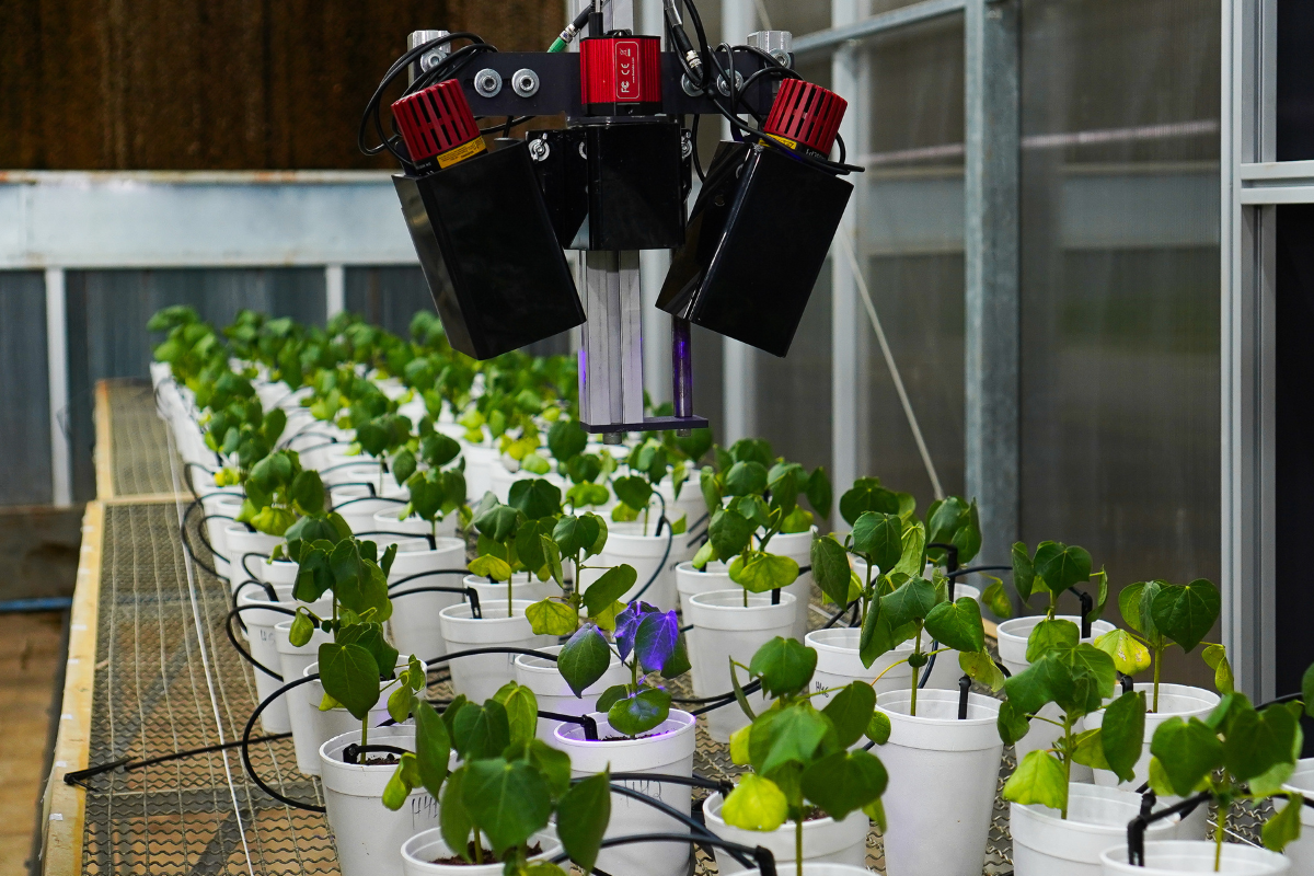 Inovação será apresentada oficialmente durante o Simpósio Nacional de Instrumentação Agropecuária. Foto: Embrapa/Divulgação
