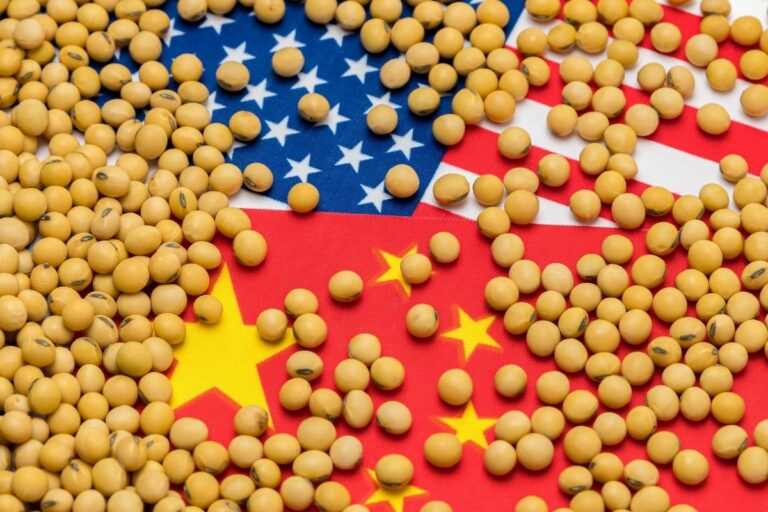 Encontro Trump-Xi Jinping anima mercados e eleva preços da soja