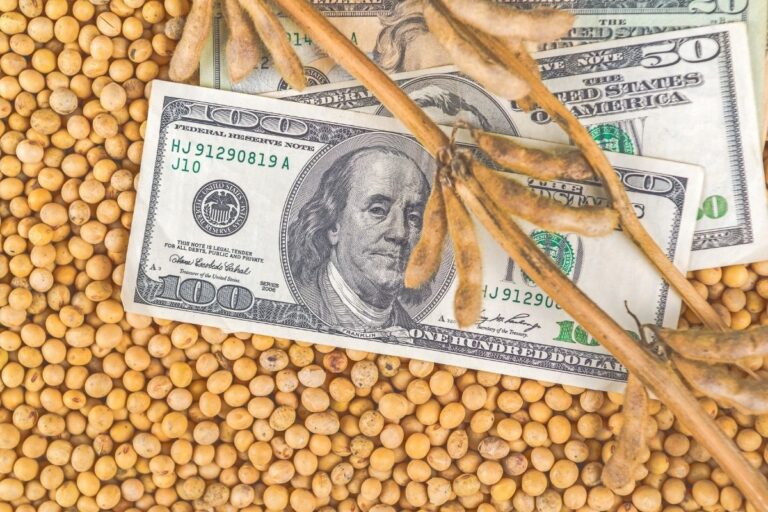 Sem China, agricultores dos EUA esperam apoio de US$ 10 bi na próxima semana