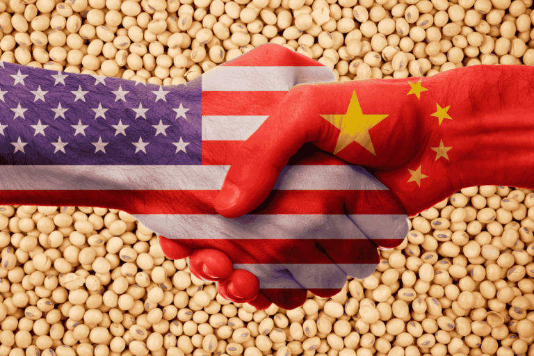 Soja brasileira será brutalmente atingida pelo acordo entre EUA e China?