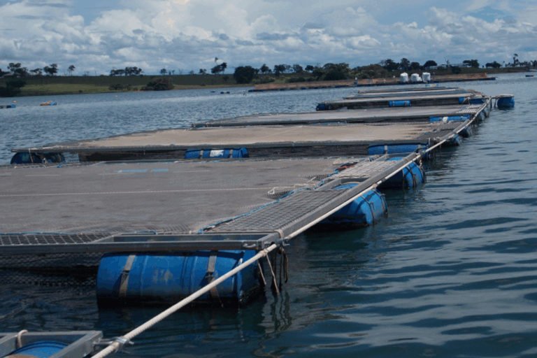 Ministério da Pesca altera regras para uso de águas da União