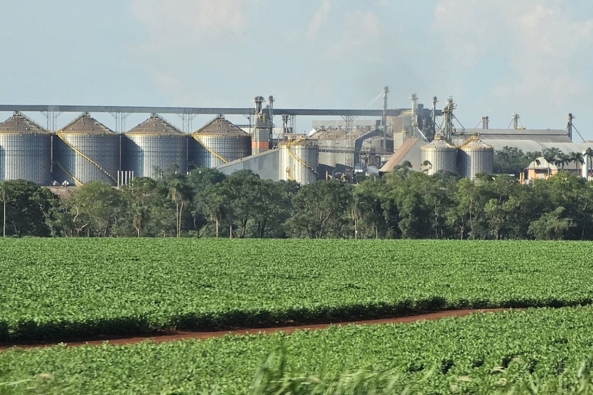 armazenagem; silos