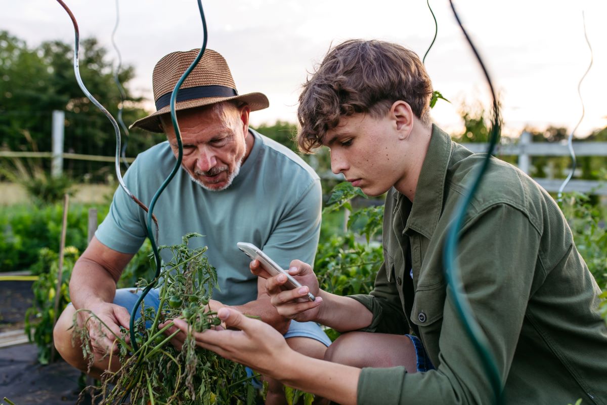 Objetivo do fundo é fortalecer o serviço de assistência técnica rural. Foto: Adobe Stock