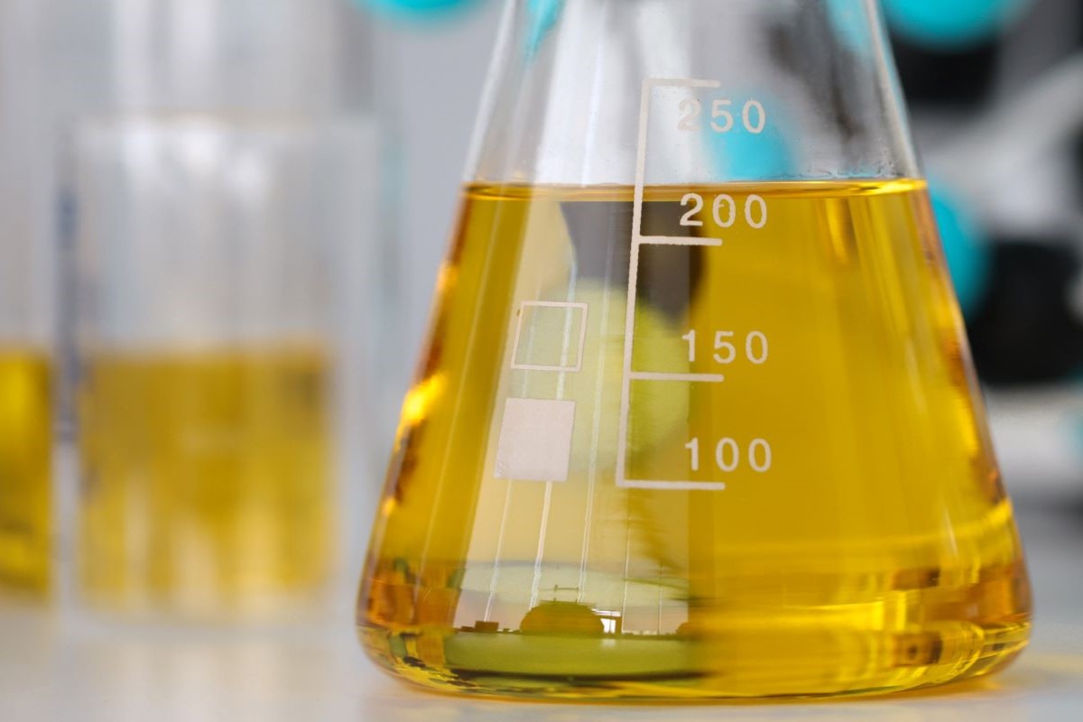 Setor investe em novas usinas para ampliar capacidade de produção de biodiesel. Foto: Adobe Stock