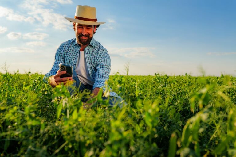 Como aplicar boas práticas agrícolas no dia a dia