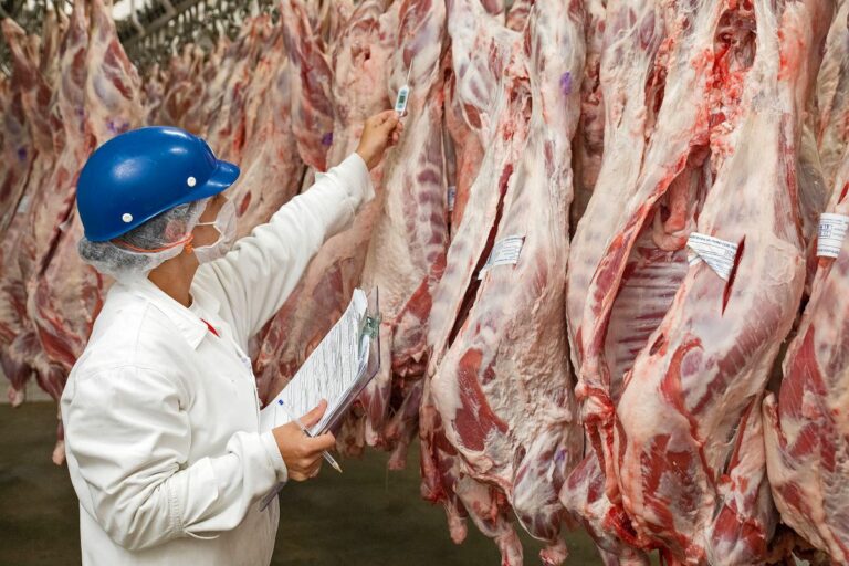 Terminal de Paranaguá exportou, até setembro, 9% mais carne bovina que todo o ano de 2024