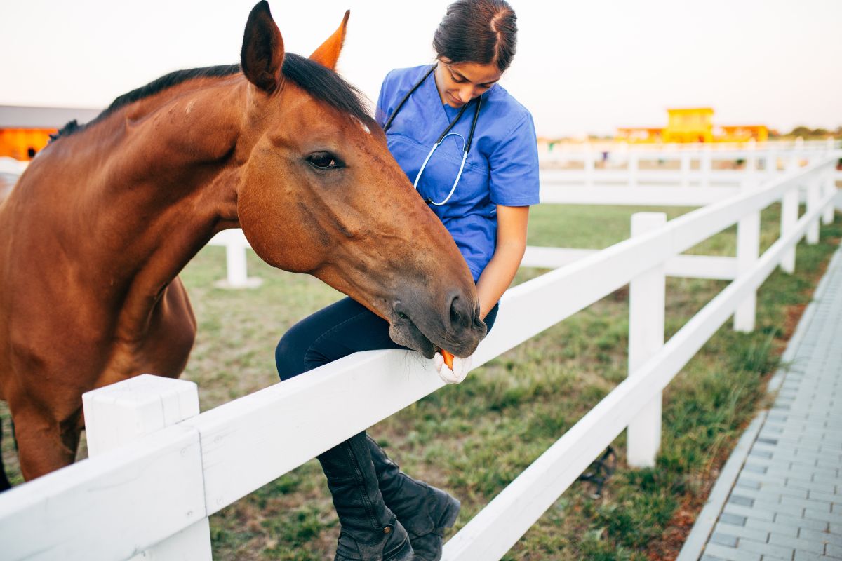 Foto: Adobe Stock