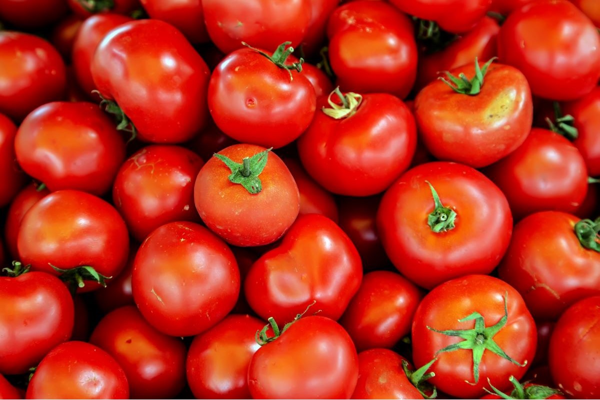 Tomate foi um dos destaques de queda nos preços apurados pela Conab e pelo Dieese. Foto: Adobe Stock