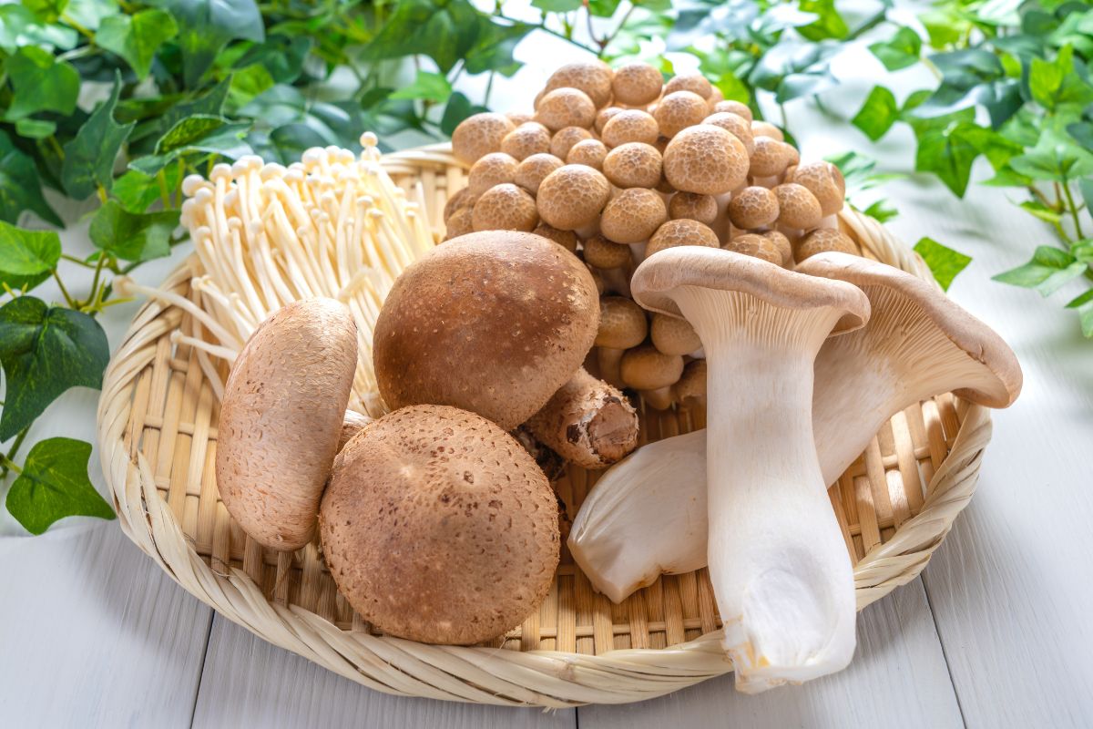 Foto: Adobe Stock