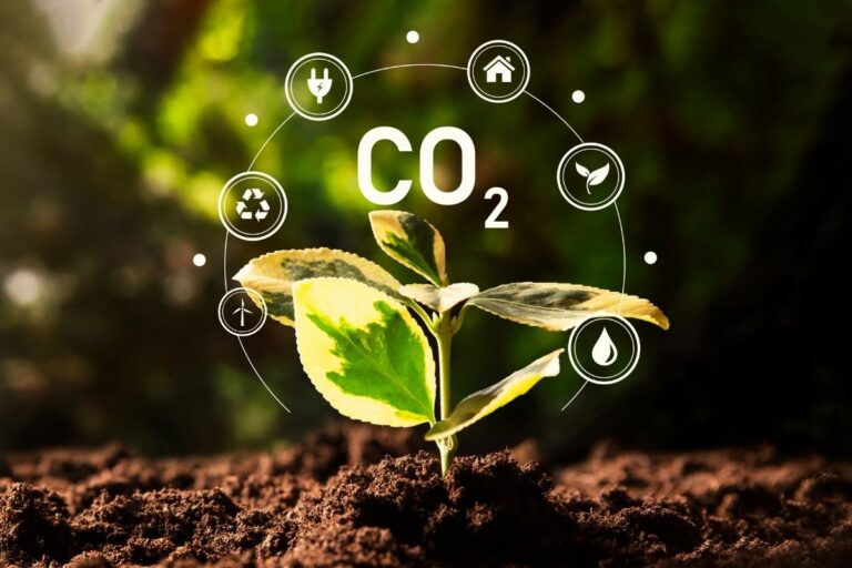 Descarbonização da agropecuária pode custar até US$ 170 bi ao Brasil até 2050