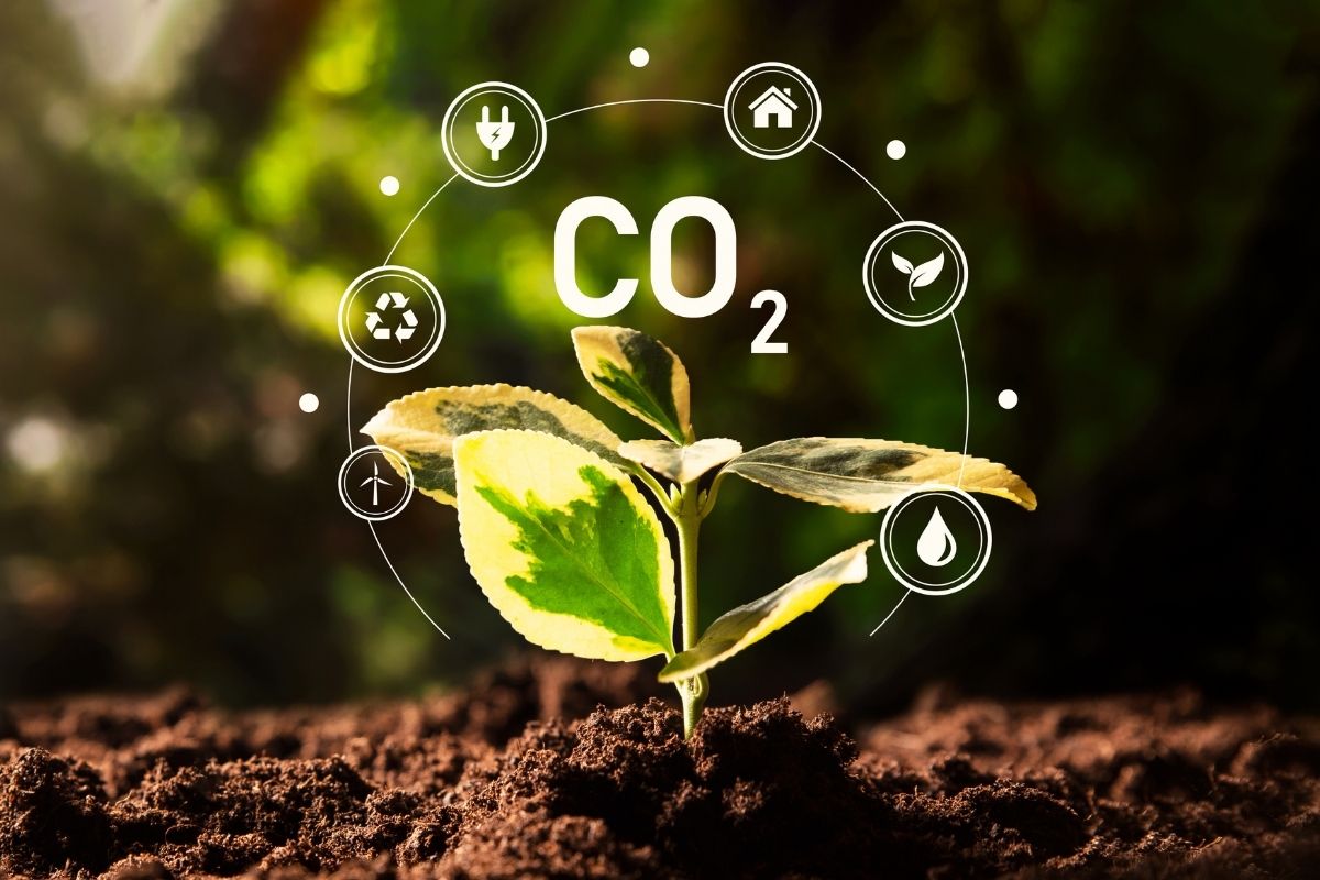 Agropecuária emitiu 480 milhões de toneladas de CO₂ em 2023, diz estudo. Foto: Adobe Stock