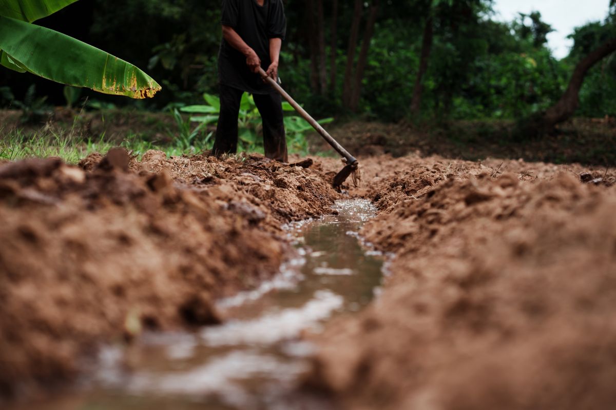 Sistema de drenagem na lavoura