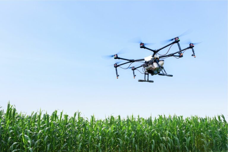 Por que os drones são cada vez mais usados na agricultura?