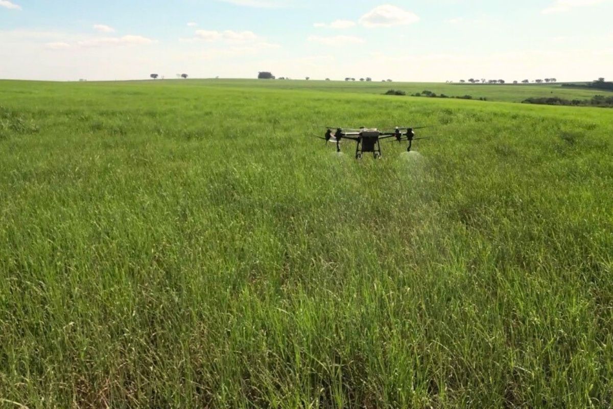 Com o apoio de softwares de georreferenciamento, o drone aplica defensivos apenas onde é necessário. Foto: Tereos/Divulgação