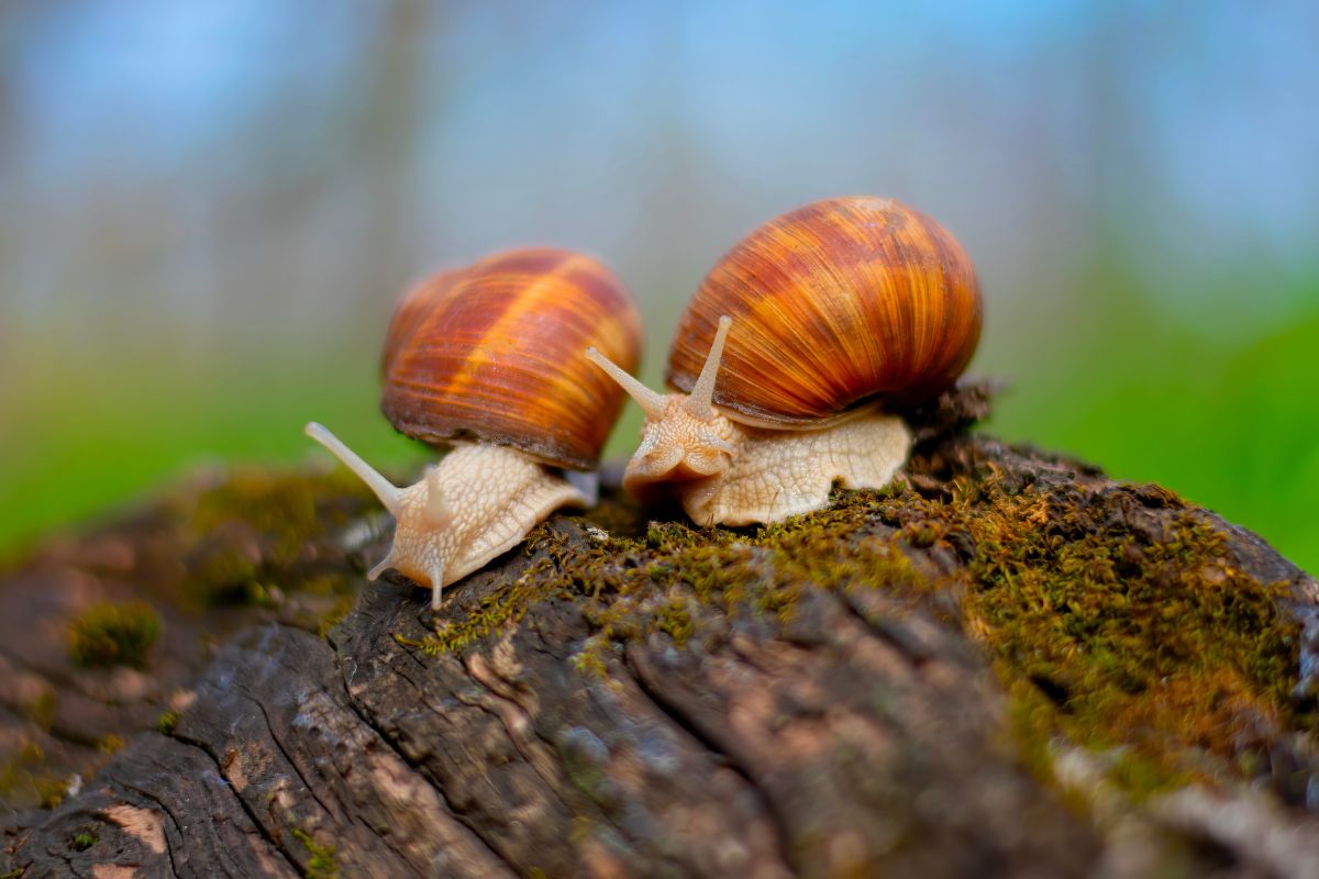 Foto: Adobe Stock