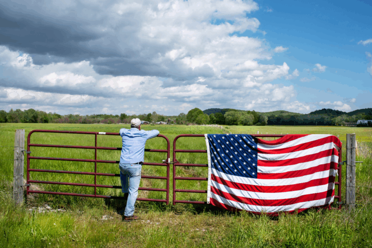 EUA: ajuda de Trump aos agricultores pode demorar até 2026