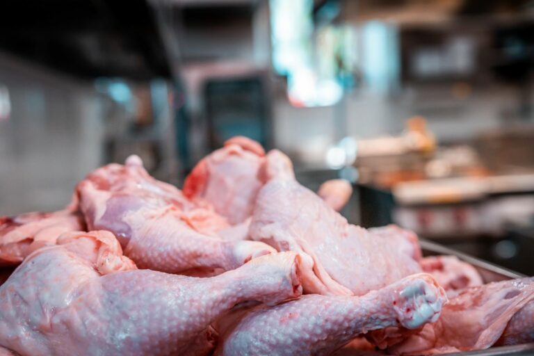 Brasil e UE retomam sistema pré-listing para exportação de carnes de aves