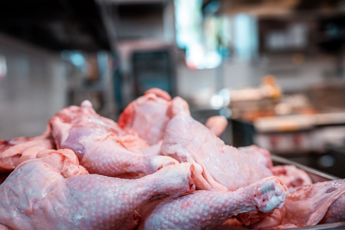 Brasil chegou a embarcar mais de 500 mil toneladas anuais de frango à UE. Foto: Adobe Stock