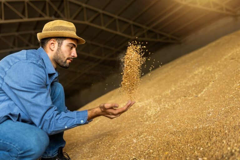 Brasil deverá exportar até 7,1 mi de t de soja e 6,3 mi de t de milho em outubro