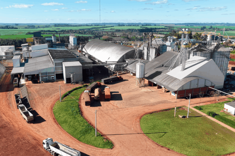 Brasil ganha primeira fábrica dedicada ao processamento de canola