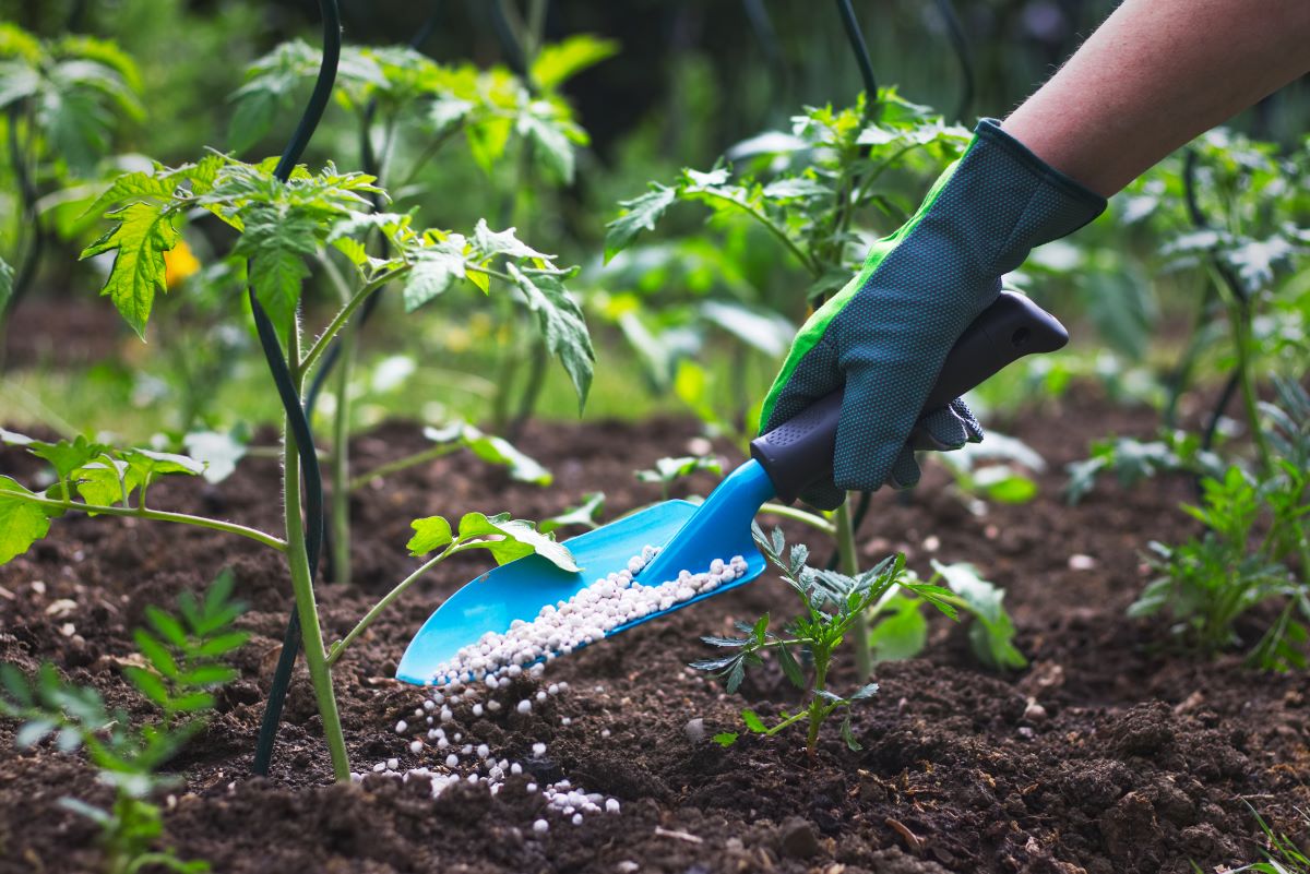 Índice de preços de fertilizantes registrou queda de 7% em setembro. Foto: Adobe Stock