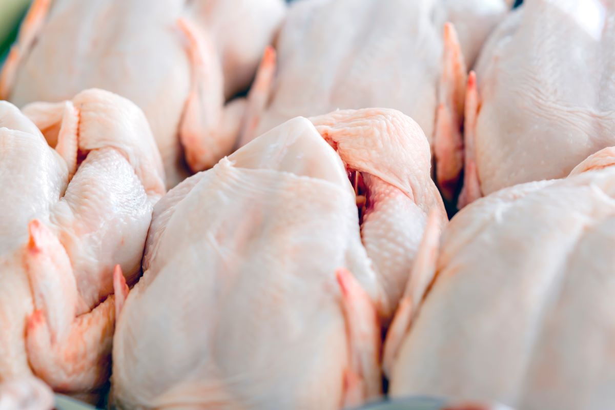 Ajustes no protocolo permitiu retomada das vendas de carne de frango para a Malásia. Foto: Adobe Stock