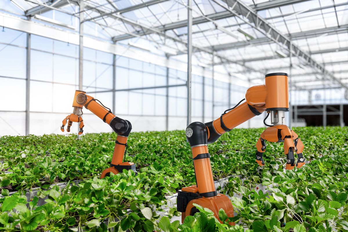 Inteligência Artificial na agricultura