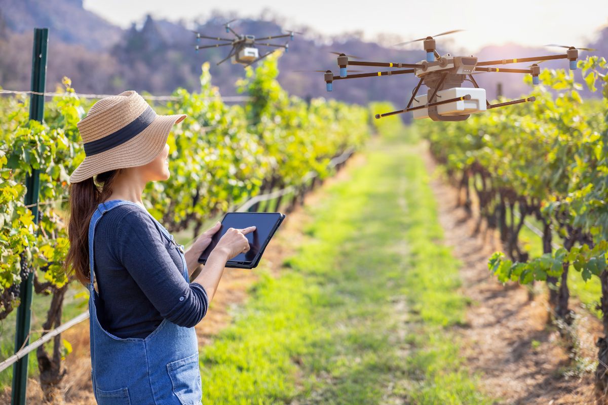 Inteligência Artificial na agricultura