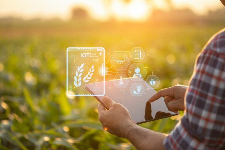 Inteligência Artificial: máquinas que 'pensam' ajudam o produtor
