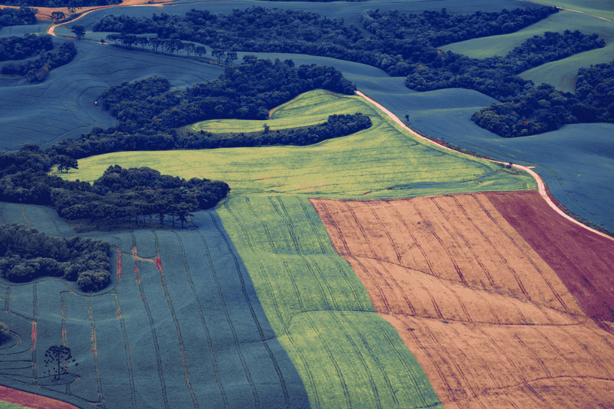 Foto: AEN-PR/Divulgação