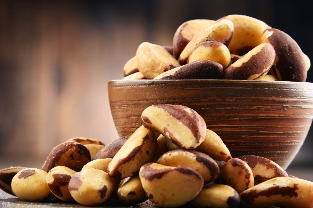 Castanha-do-Brasil poderá ser exportada para o Japão. Foto: Adobe Stock