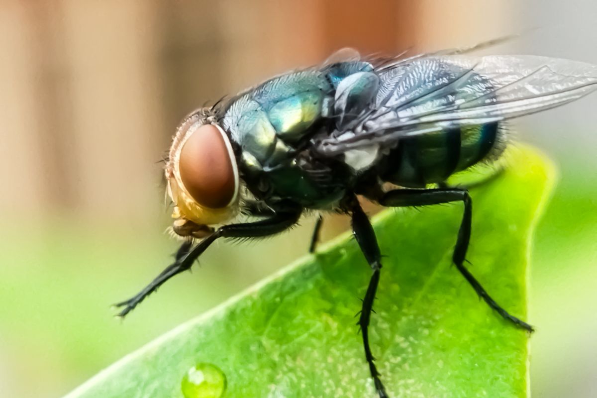 Foto: Adobe Stock
