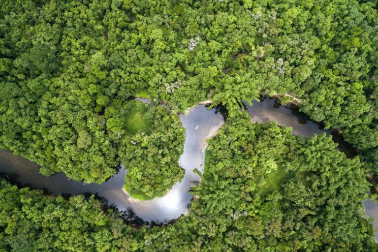 Código Florestal Brasileiro: o que o produtor precisa saber?