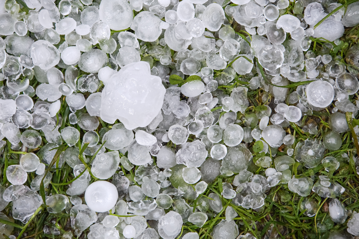 Foto: Adobe Stock