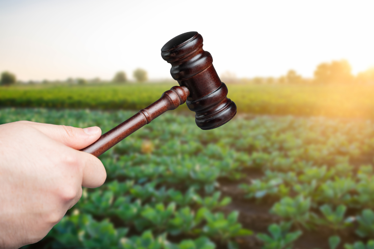 Foto: Adobe Stock